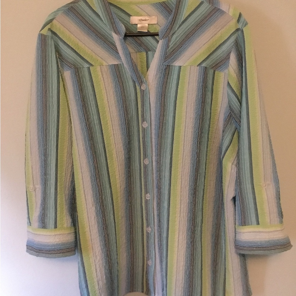 CJ Banks Green & Blue Striped Button Front Shirt